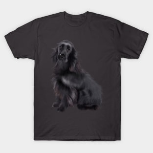 Black Cocker Spaniel, Dog Lover T-Shirt